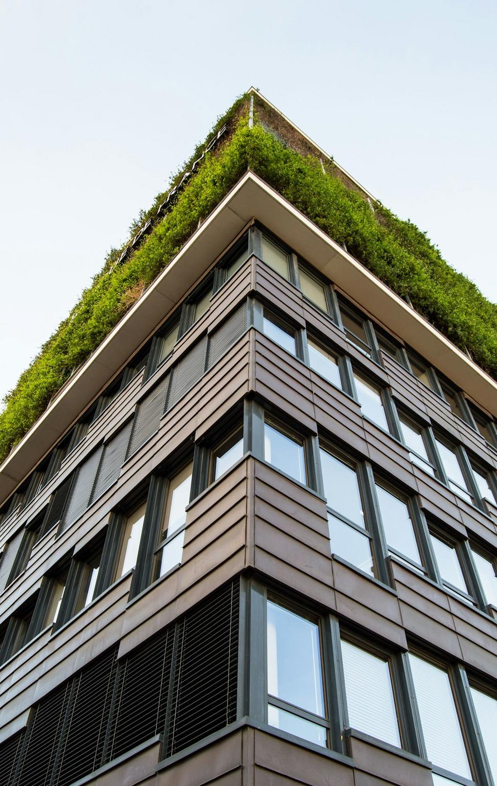Sustainable building materials